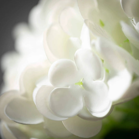 FRESHCUT WHITE HYDRANGEA SPRAY by Sullivans Home Decor