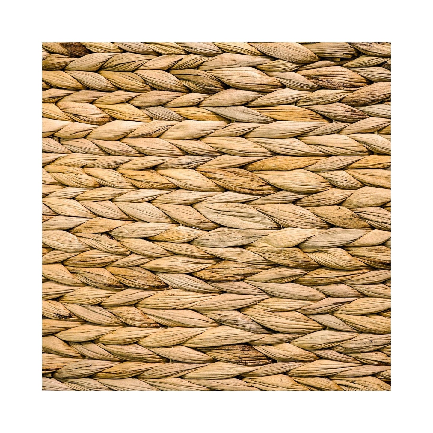 Water Hyacinth Round Foldable Tree Skirt - 49th & Magnolia