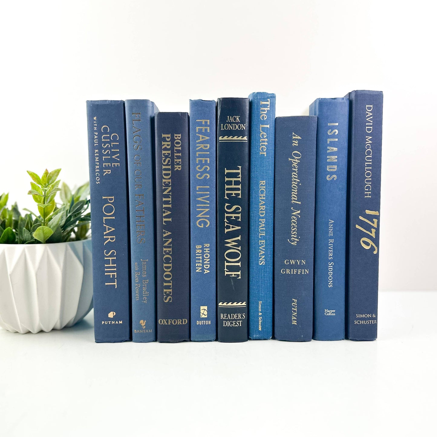 Decorative Books for Home Decor- Blue Books - 49th & Magnolia