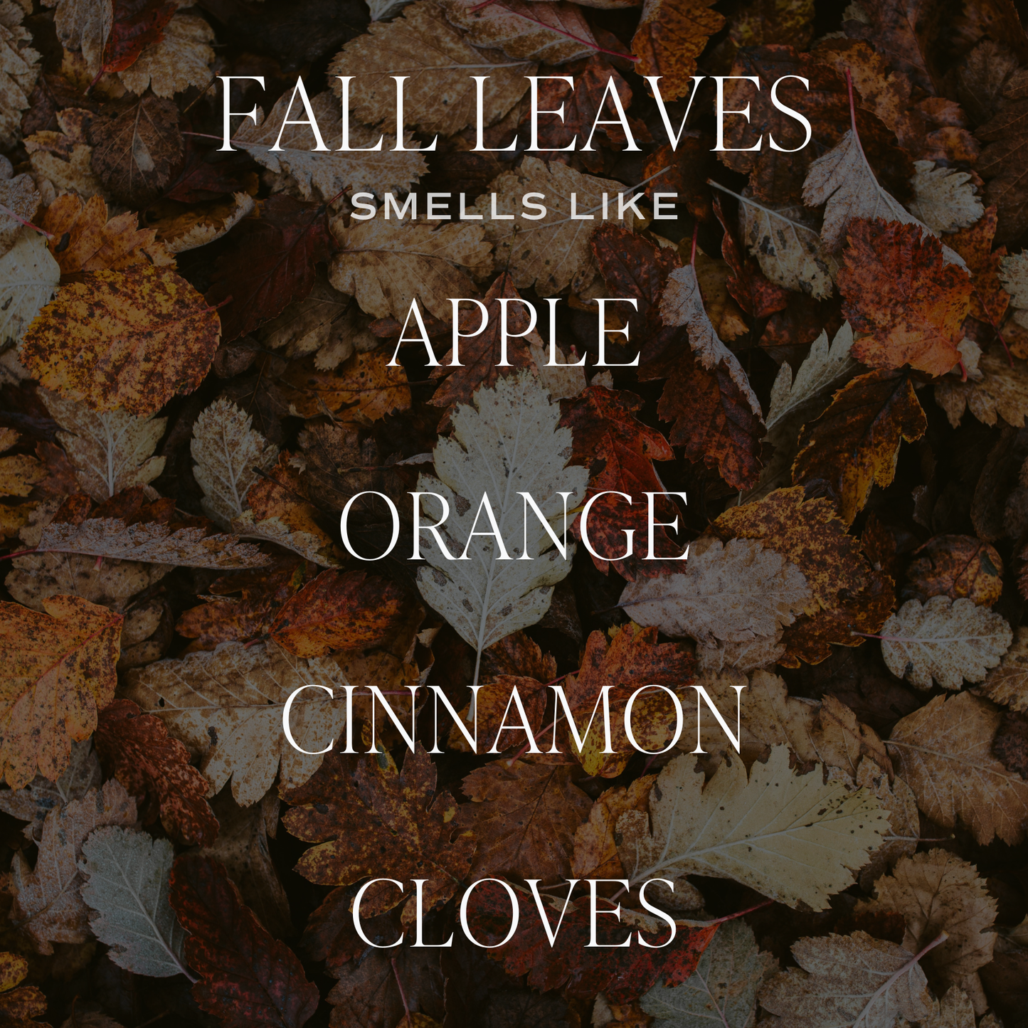 Fall Leaves Soy Candle - 9 oz