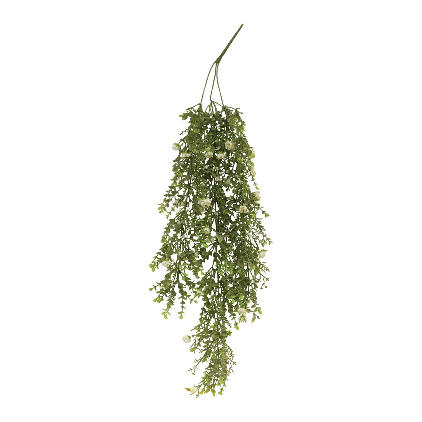 Eden's Gate Hanging Vine - 49th & Magnolia