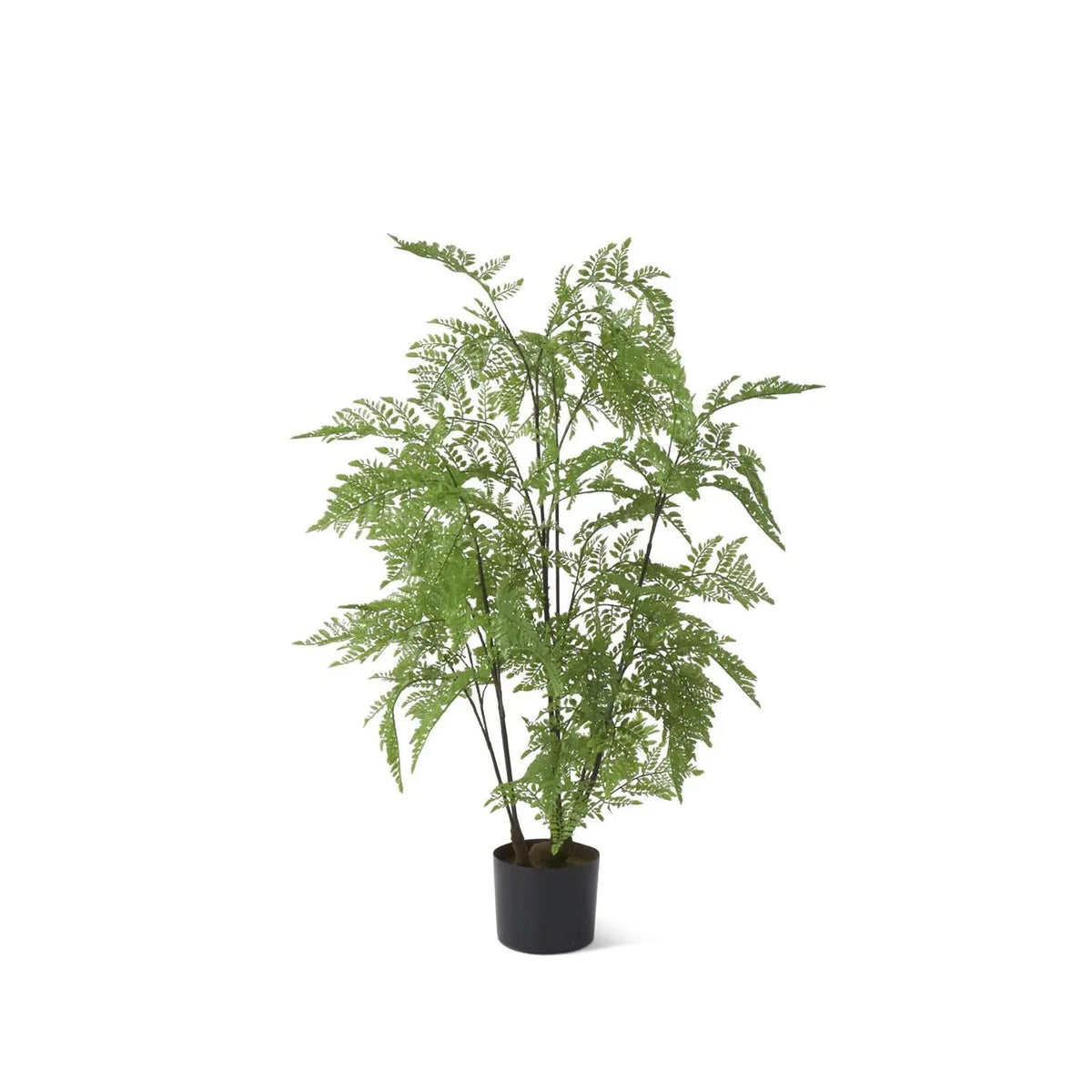 3' Potted Fern Tree by K&K Interiors
