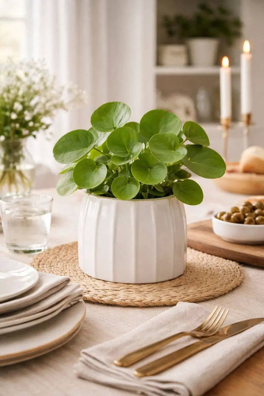 White Fluted Ceramic Planter Vase by Napco