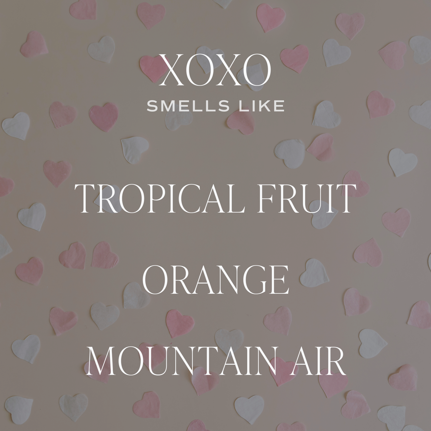 XOXO Valentine's Day 15 oz Soy Candle w/Matte Jar - 49th & Magnolia