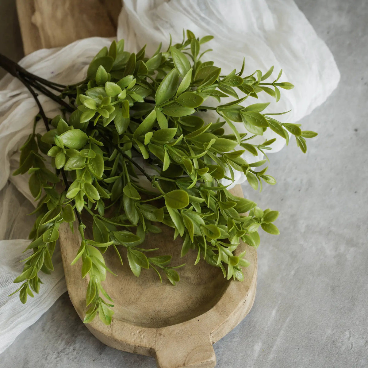 (Set of 3) 14" RUSCUS LEAF BUSH by Ragon House