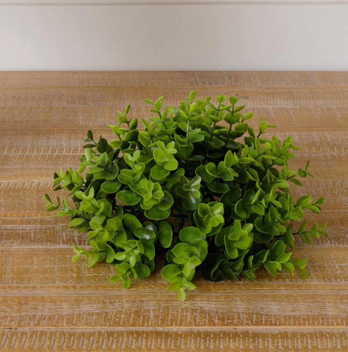Boxwood Half Sphere by Audrey's