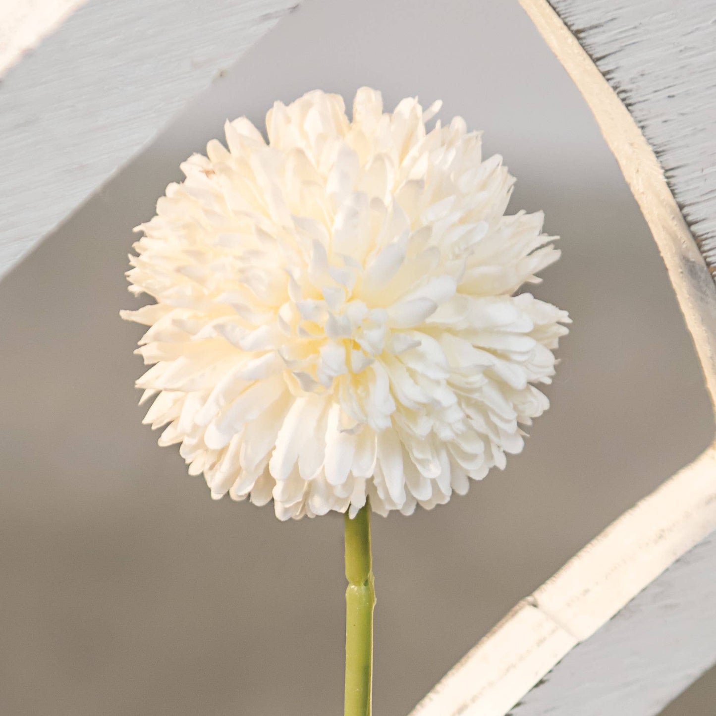 White Pompom Stem - 49th & Magnolia