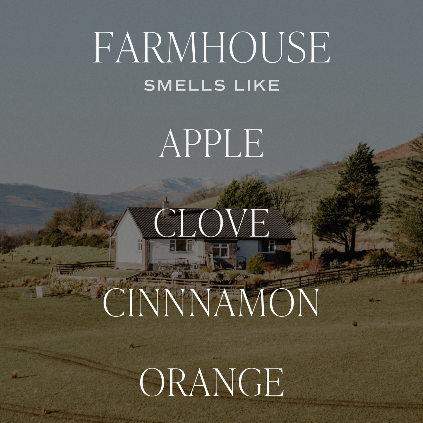 Farmhouse 12 oz Candle - 49th & Magnolia