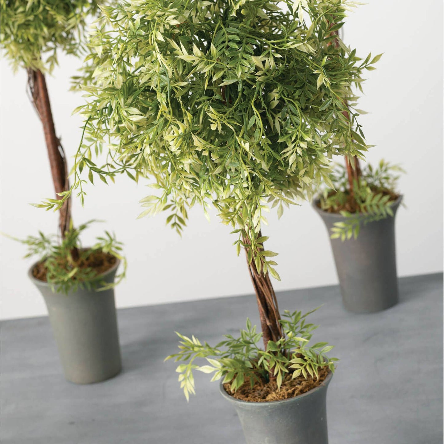 WISTERIA TOPIARY (Set of 3) - 49th & Magnolia