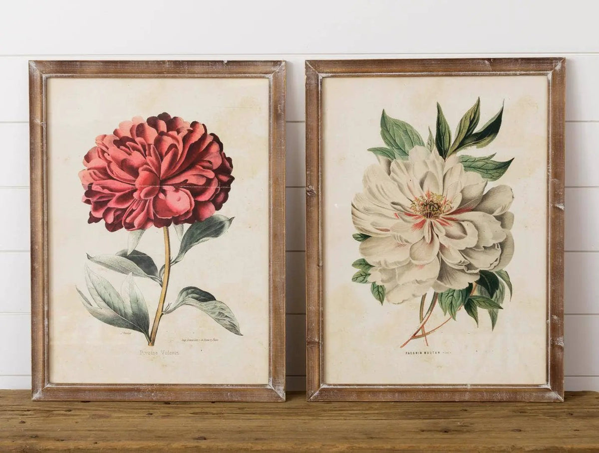 Vulcan Peony Framed Prints (Set of 2) by Audrey's
