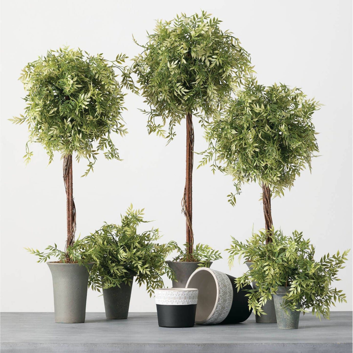 WISTERIA TOPIARY (Set of 3) - 49th & Magnolia