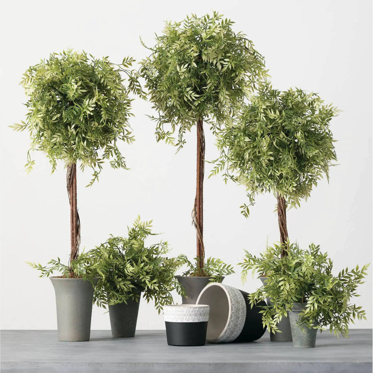 WISTERIA TOPIARY by Sullivans Home Decor