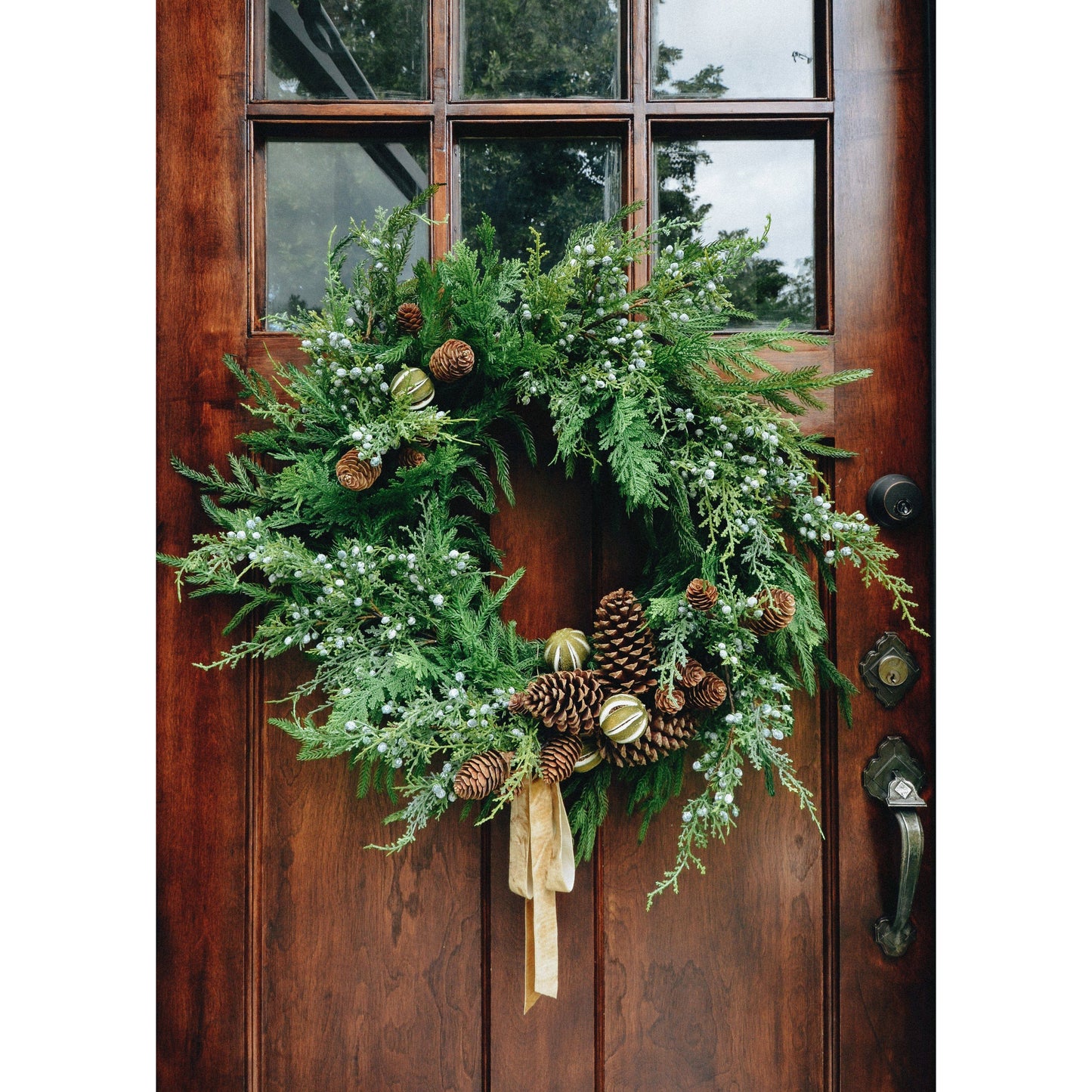 Real Touch Norfolk Pine Wreath - 24" - 49th & Magnolia