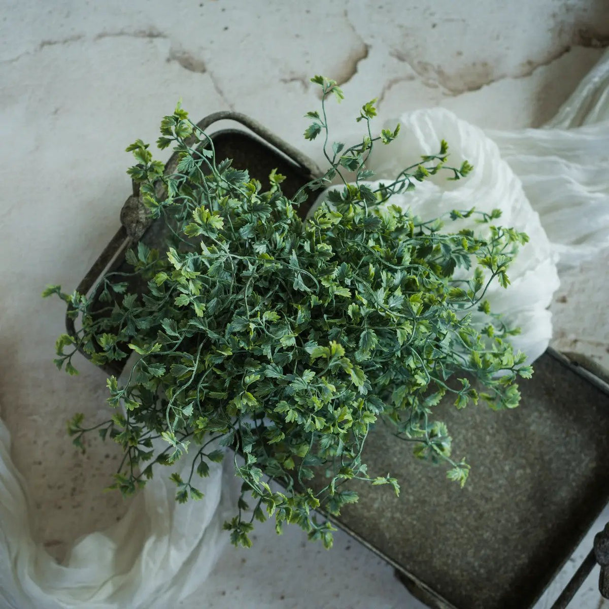 9" WILD CELERY HALF BALL by Ragon House