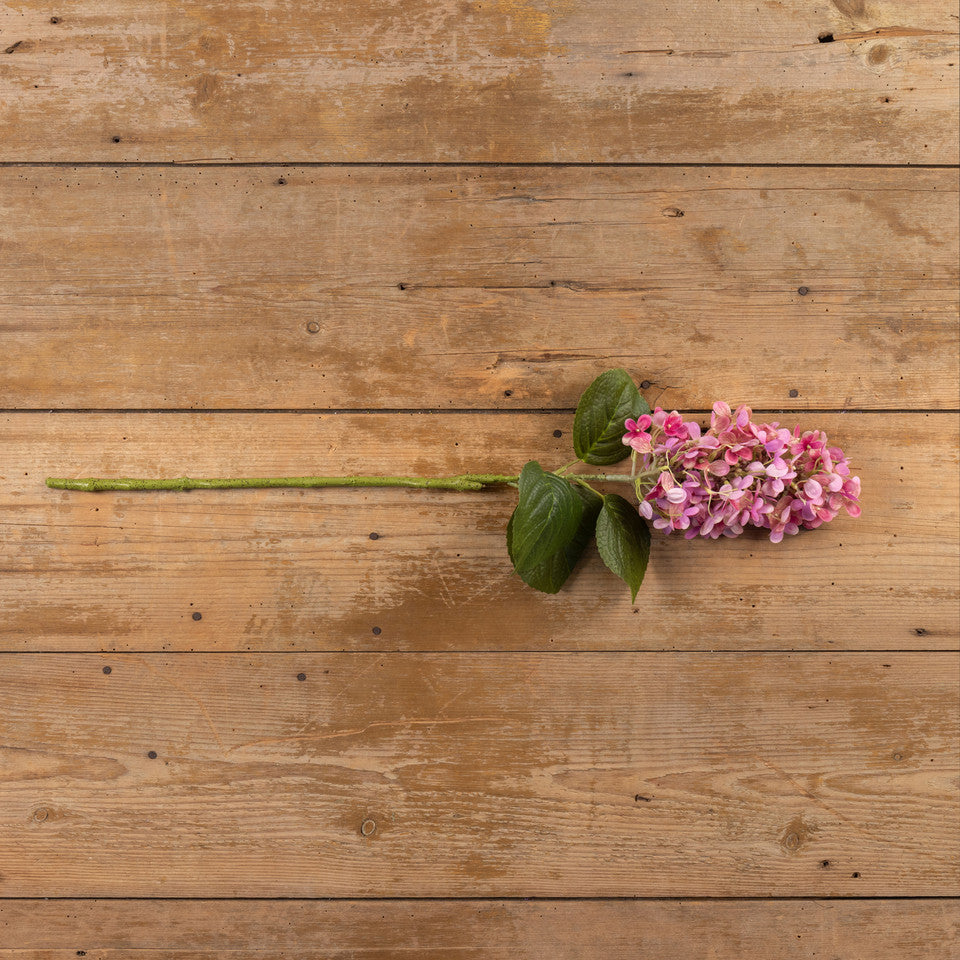 Pink Lilac Stem