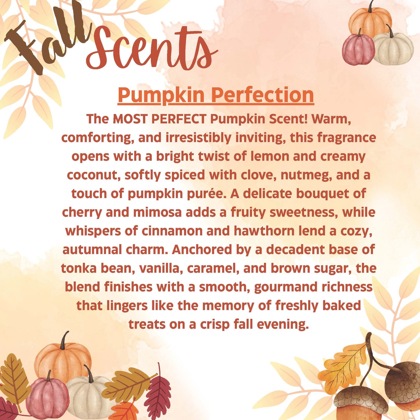 49th & Magnolia Home Carpet & Upholstery Refresh - FALL EDITION