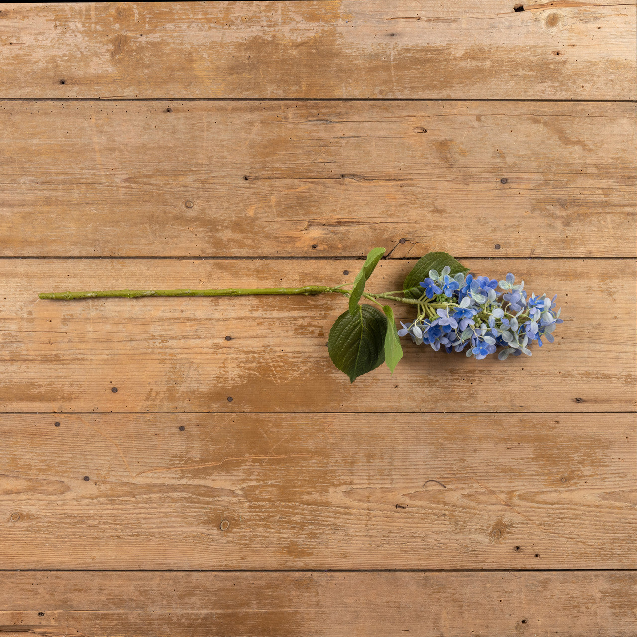 Blue Lilac Spray - 49th & Magnolia