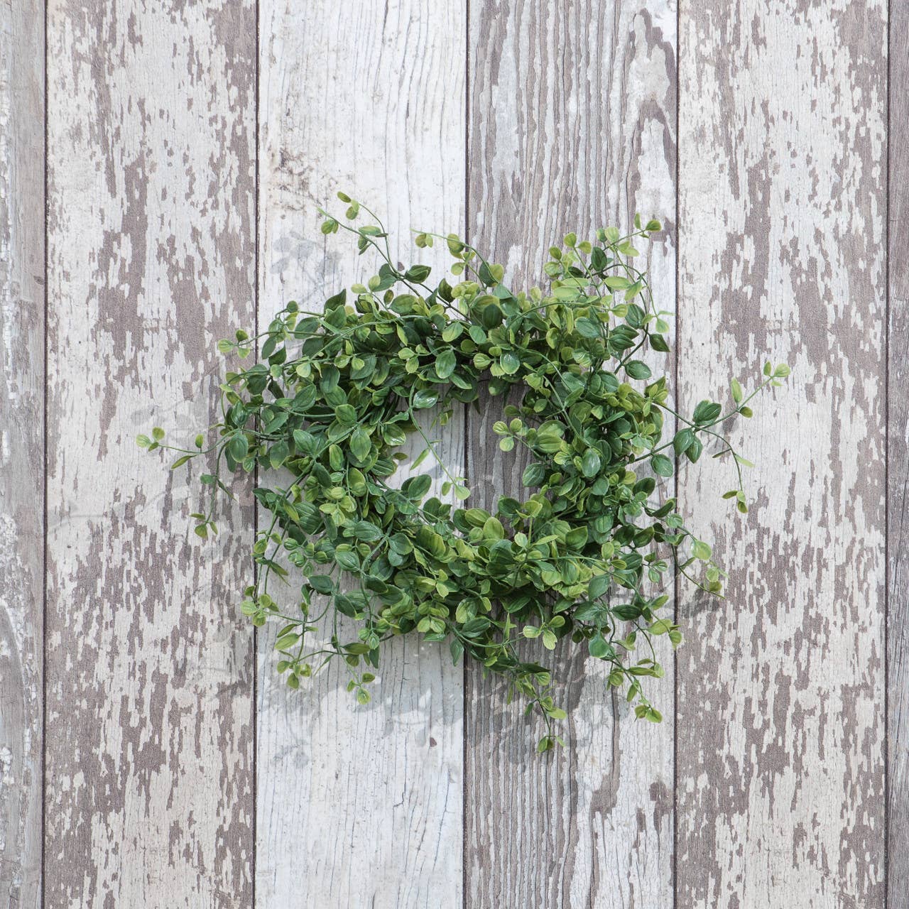 14" VINCA LEAF CANDLE RING - 49th & Magnolia