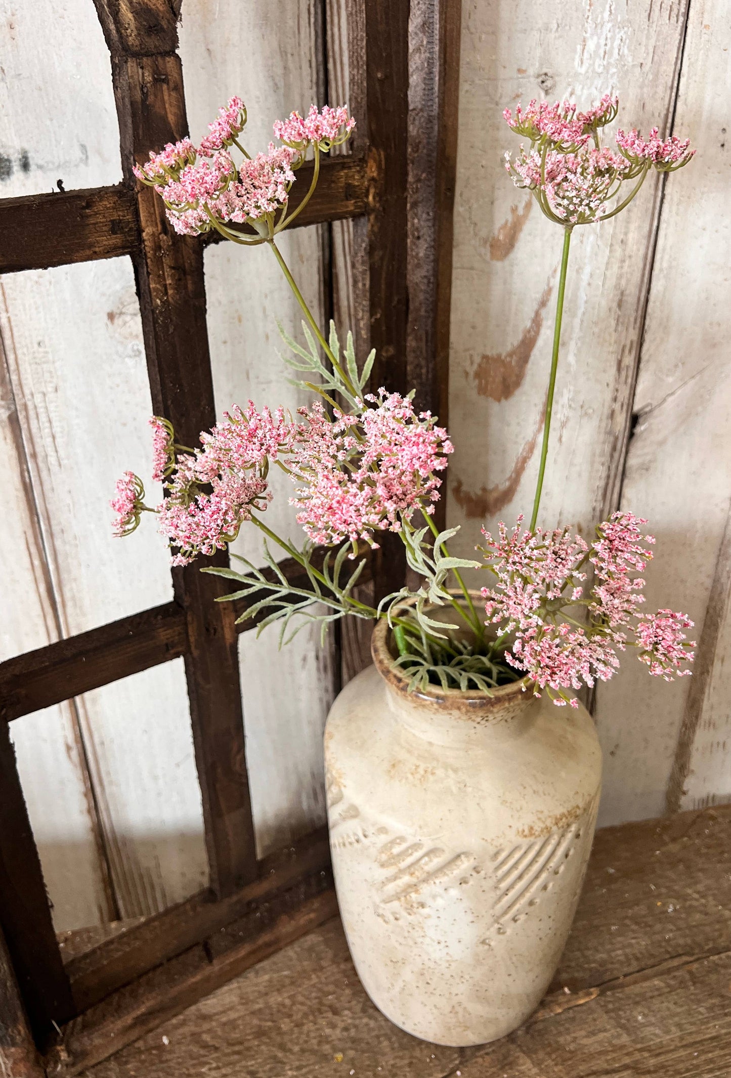 Pink Queen Anne's Lace - 49th & Magnolia