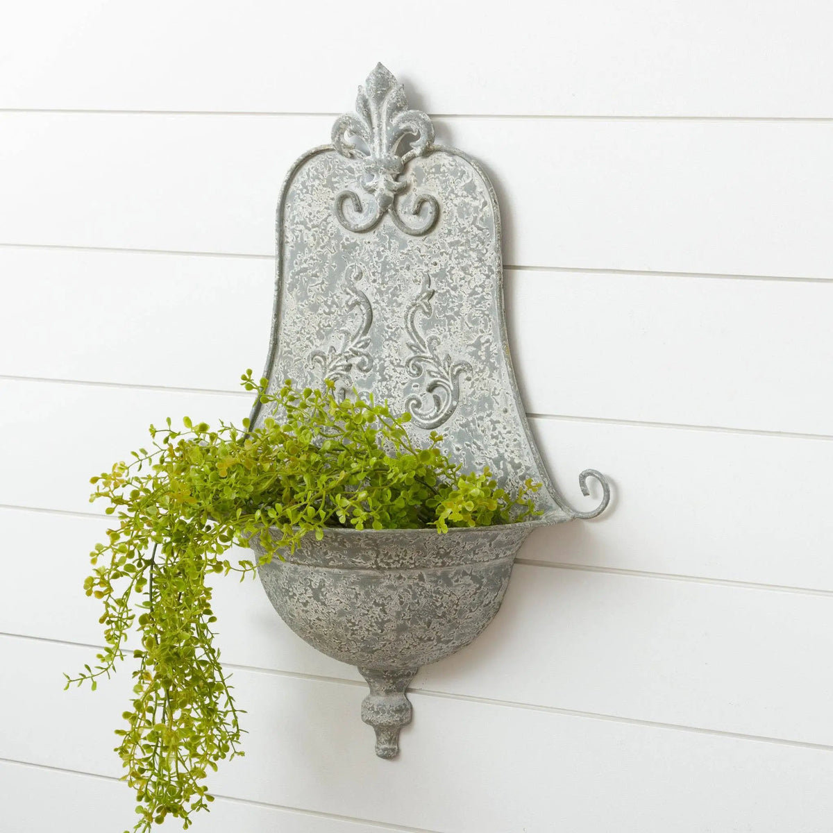 Baby Tears Hanging Spray by Audrey's