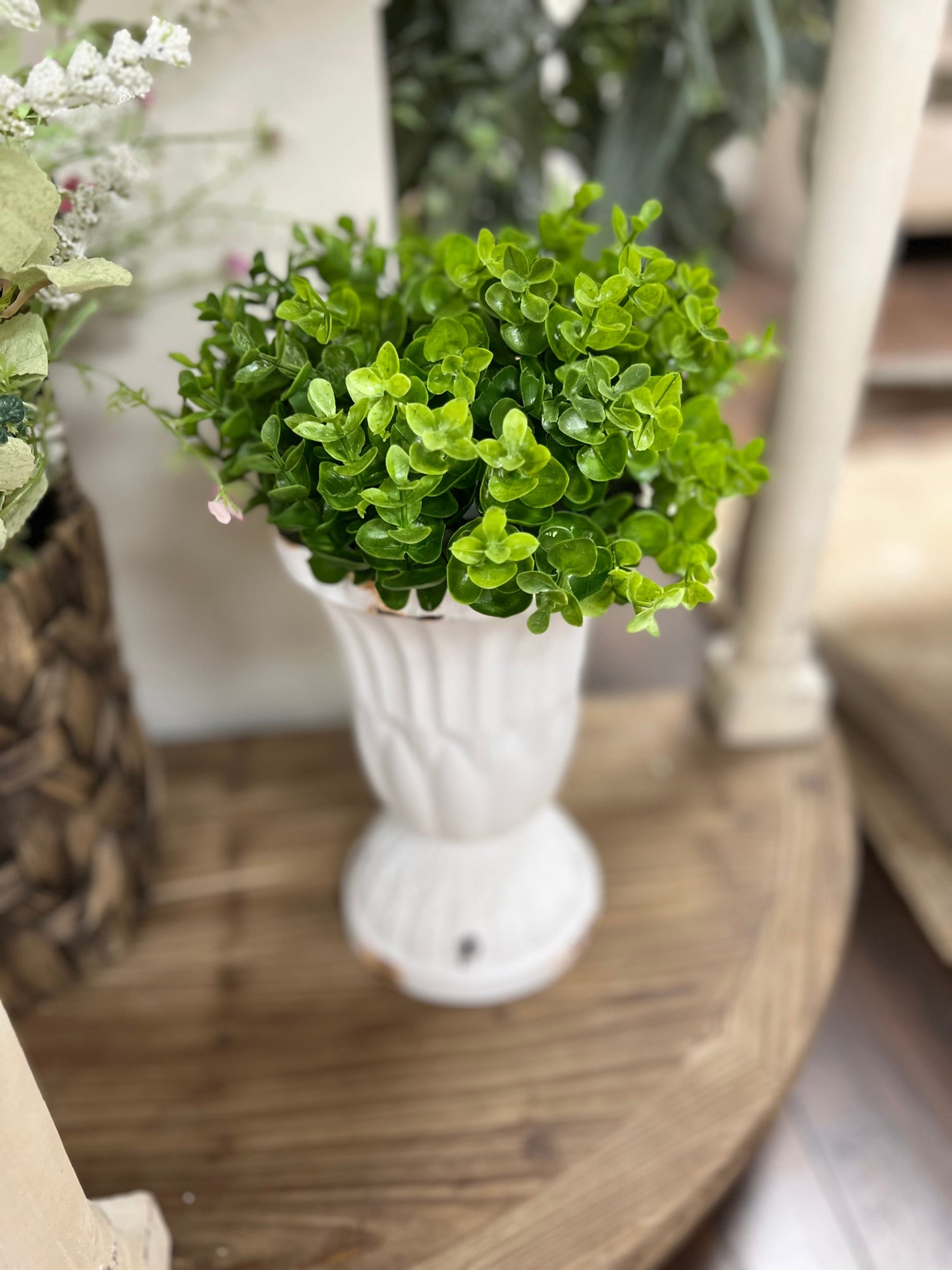 Vases & Planters