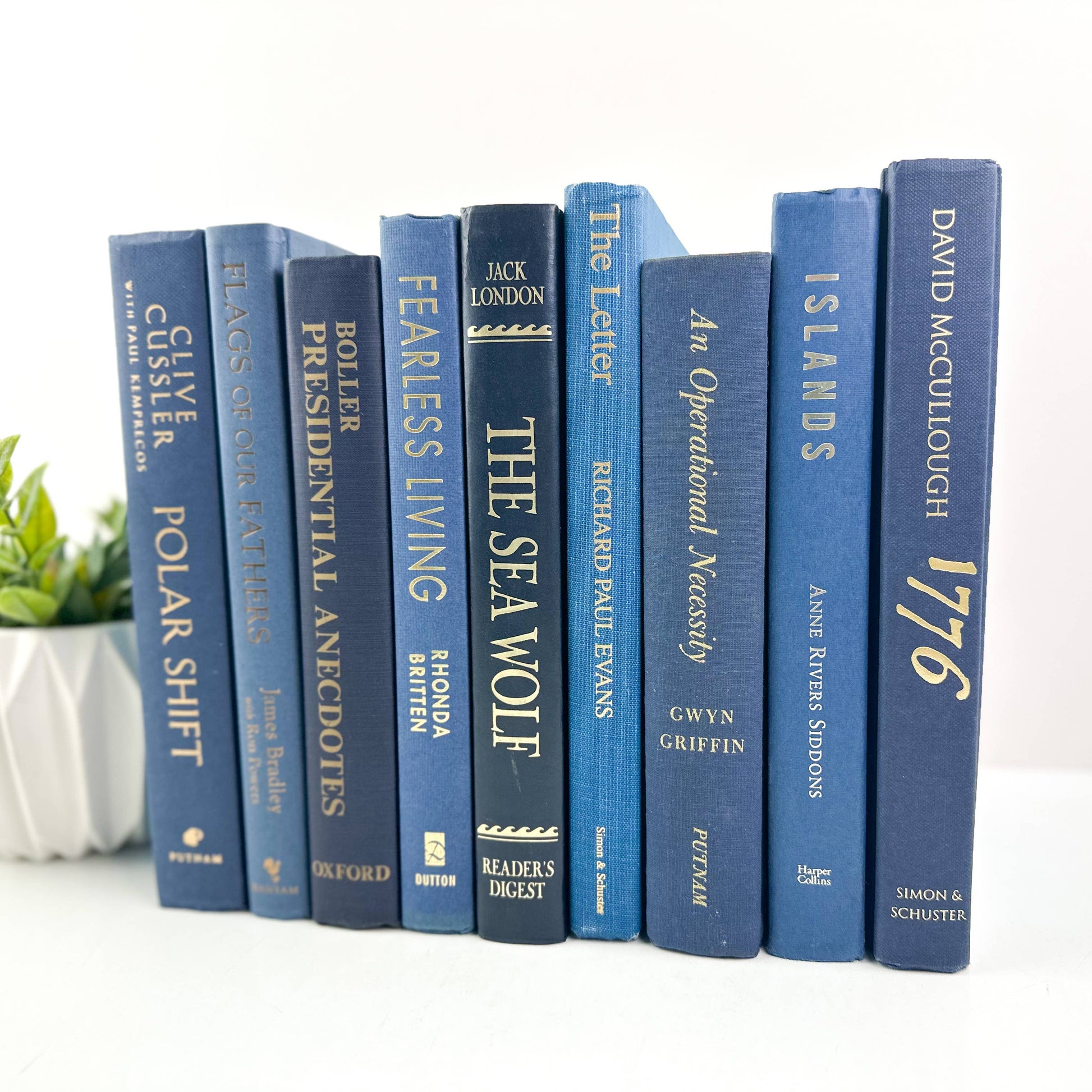 Decorative Books for Home Decor- Blue Books - 49th & Magnolia