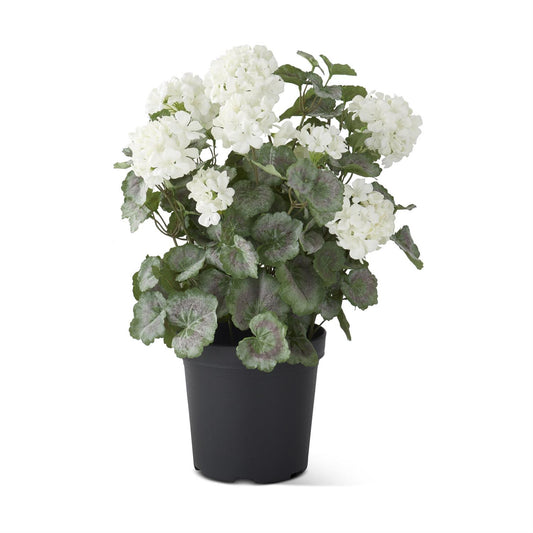 24 Inch White Potted Geranium w/Faux Dirt
