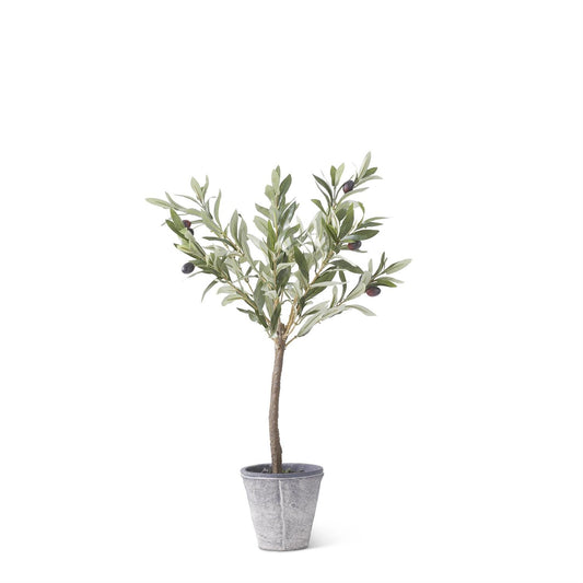 24" Olive Tree w/Gray Wash Pot - 49th & Magnolia