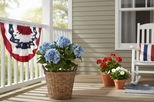 18.75 Inch 5 Bloom Blue Potted Hydrangea w/Faux Dirt by K&K Interiors