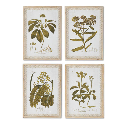 27.75 Inch Wood Framed Faux Matted Botanical Prints (4 Styles)