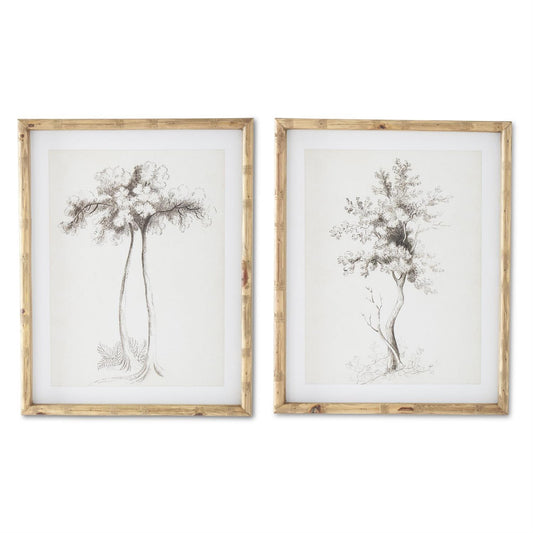 19.75 Inch Wood Framed Charcoal Sketched Arbor Prints (2 Styles)