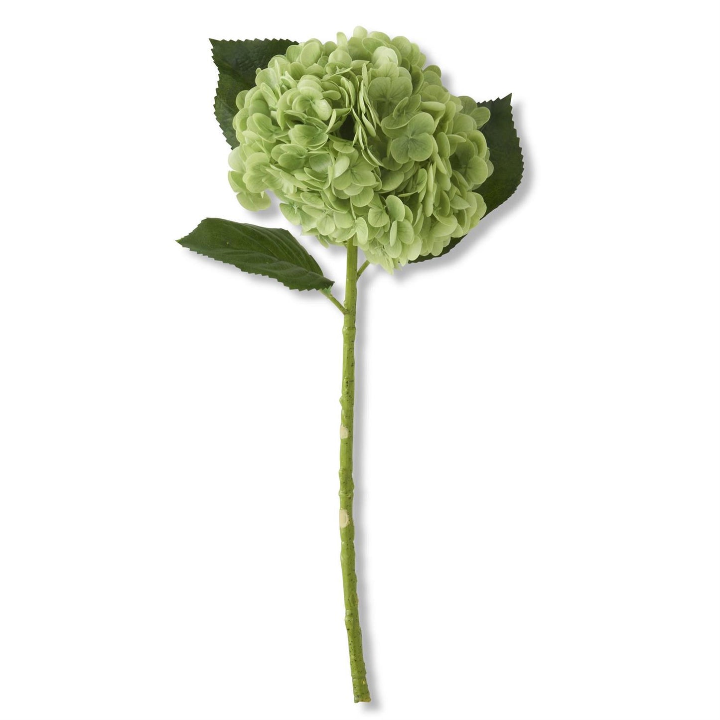 20 Inch Green Real Touche Hydrangea Stem