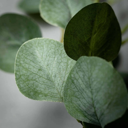 LEAFY GREEN EUCALYPTUS GARLAND by Sullivans Home Decor