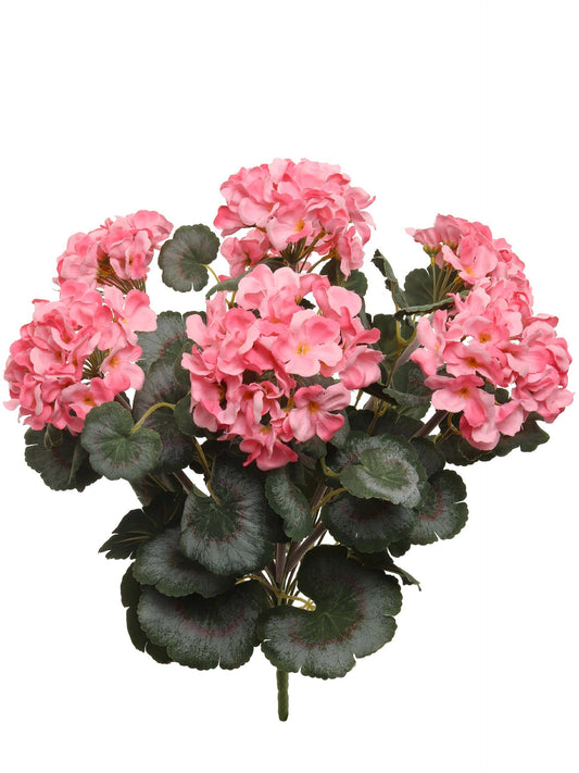 Pink 18" Deluxe UV Geranium Bush – 7 Bloom Heads