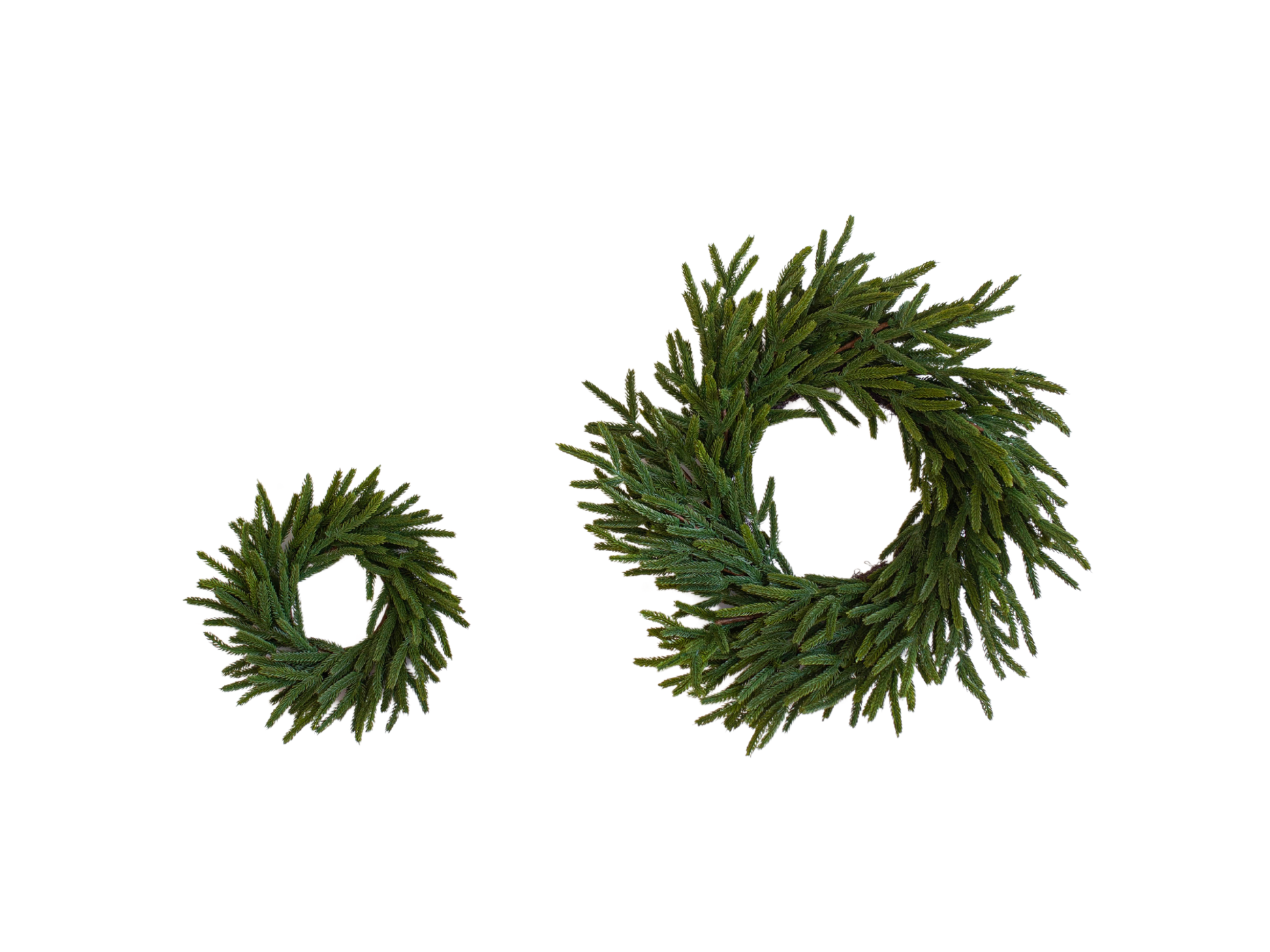 24" Norfolk Pine Real Touch Faux Christmas Wreath - 49th & Magnolia