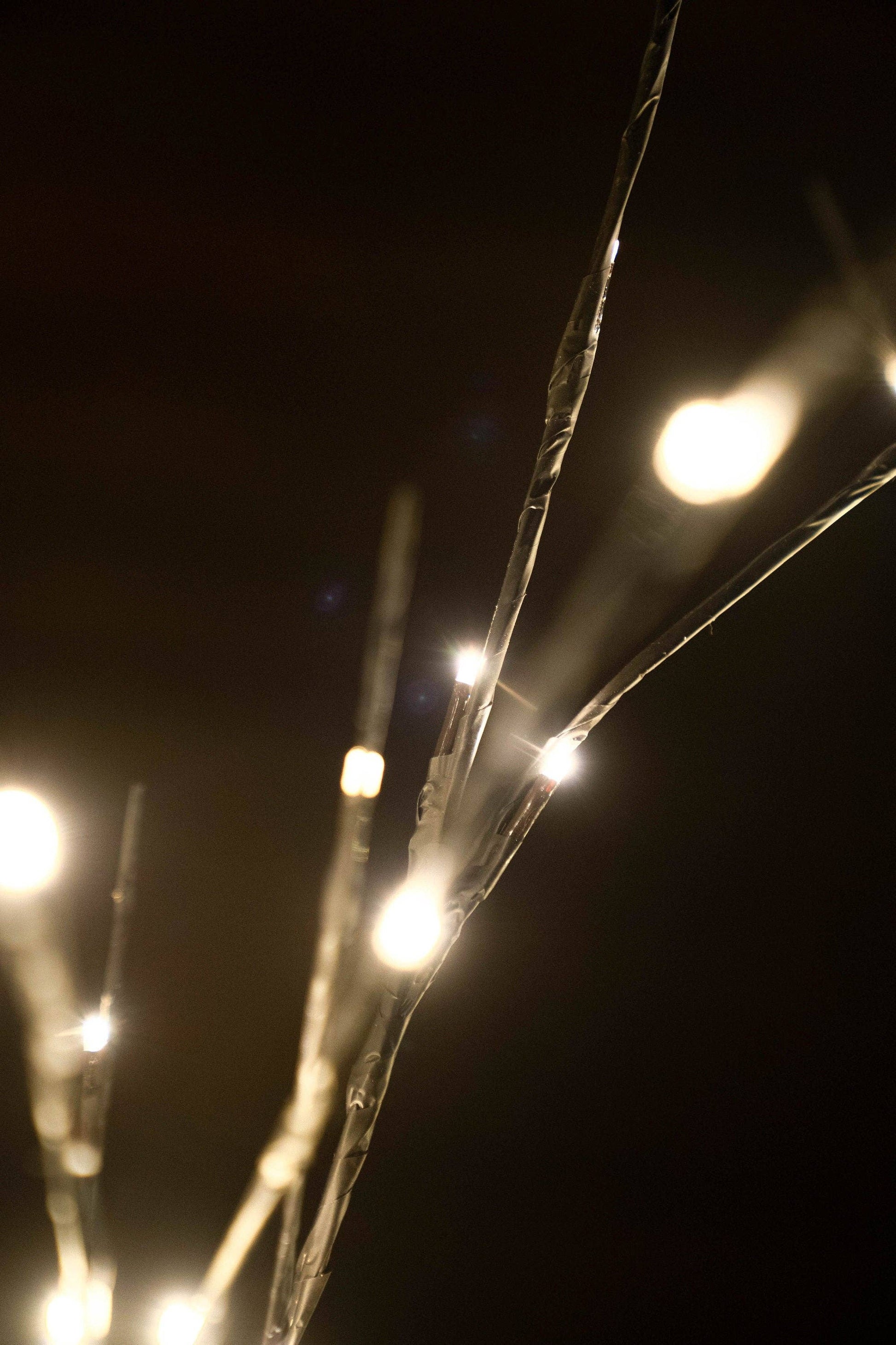 Willow Branch - 49th & Magnolia