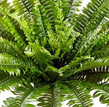 Artificial Boston Fern Bush with UV Protection - 23"