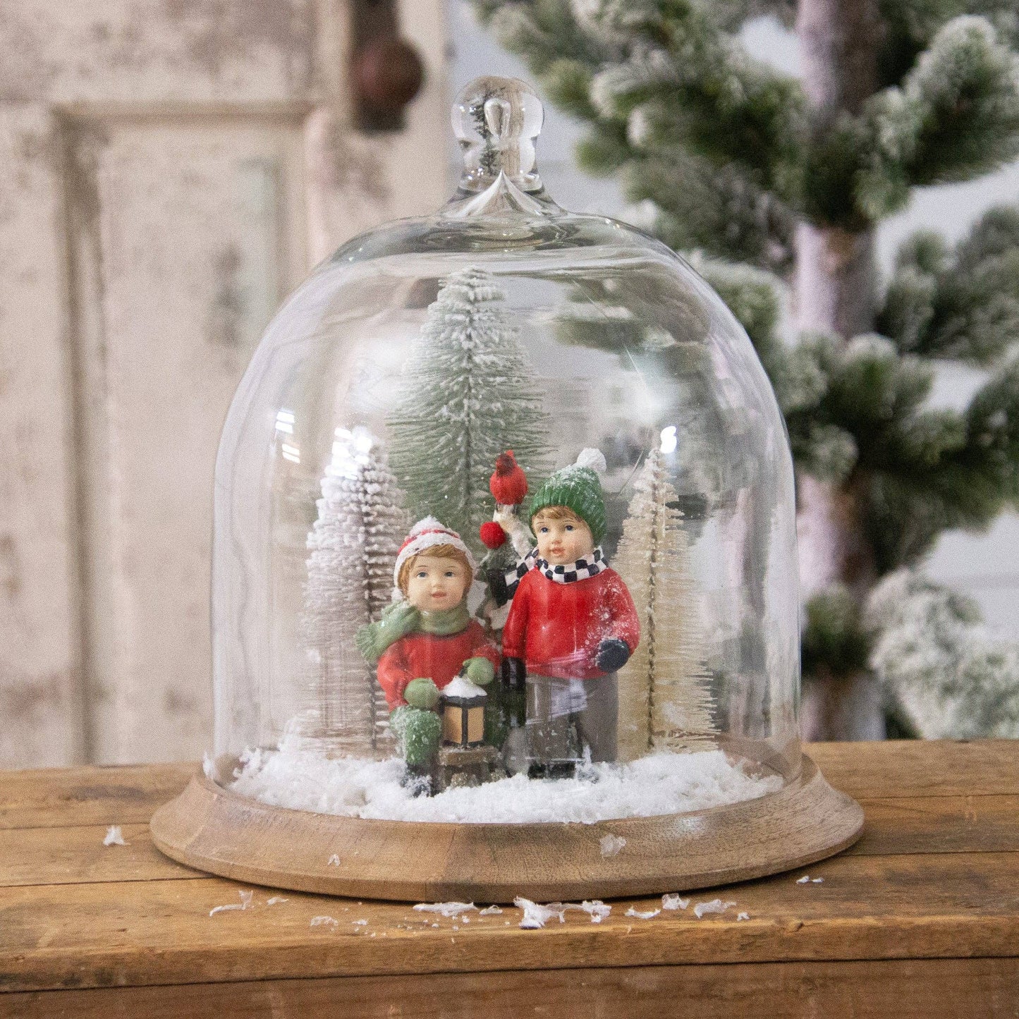 Glass Cloche With Mango Wood Base