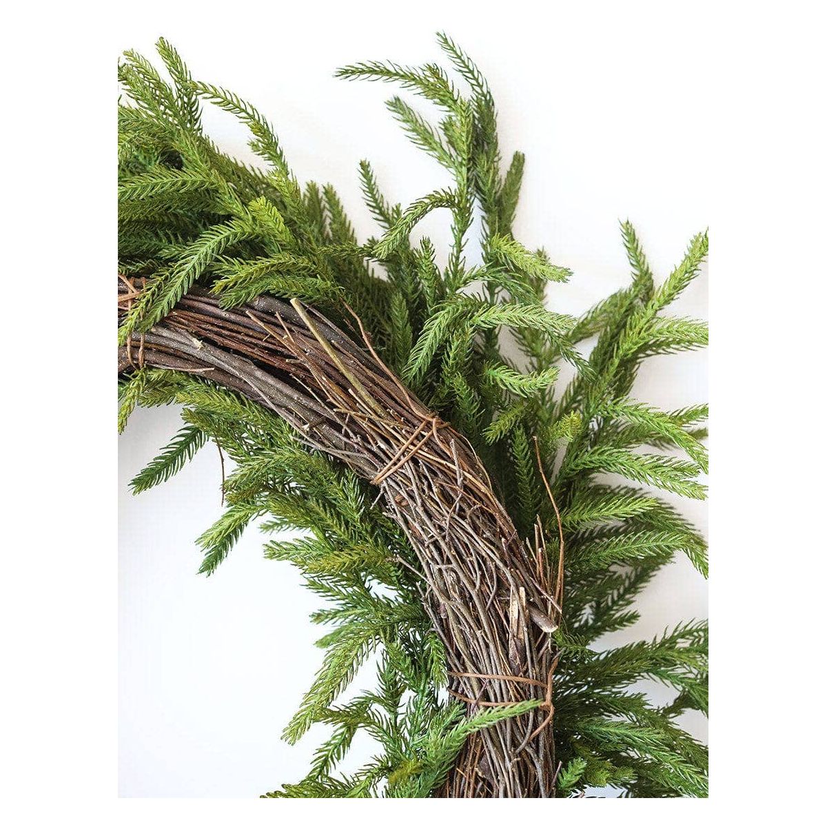 Real Touch Norfolk Pine Wreath - 24"