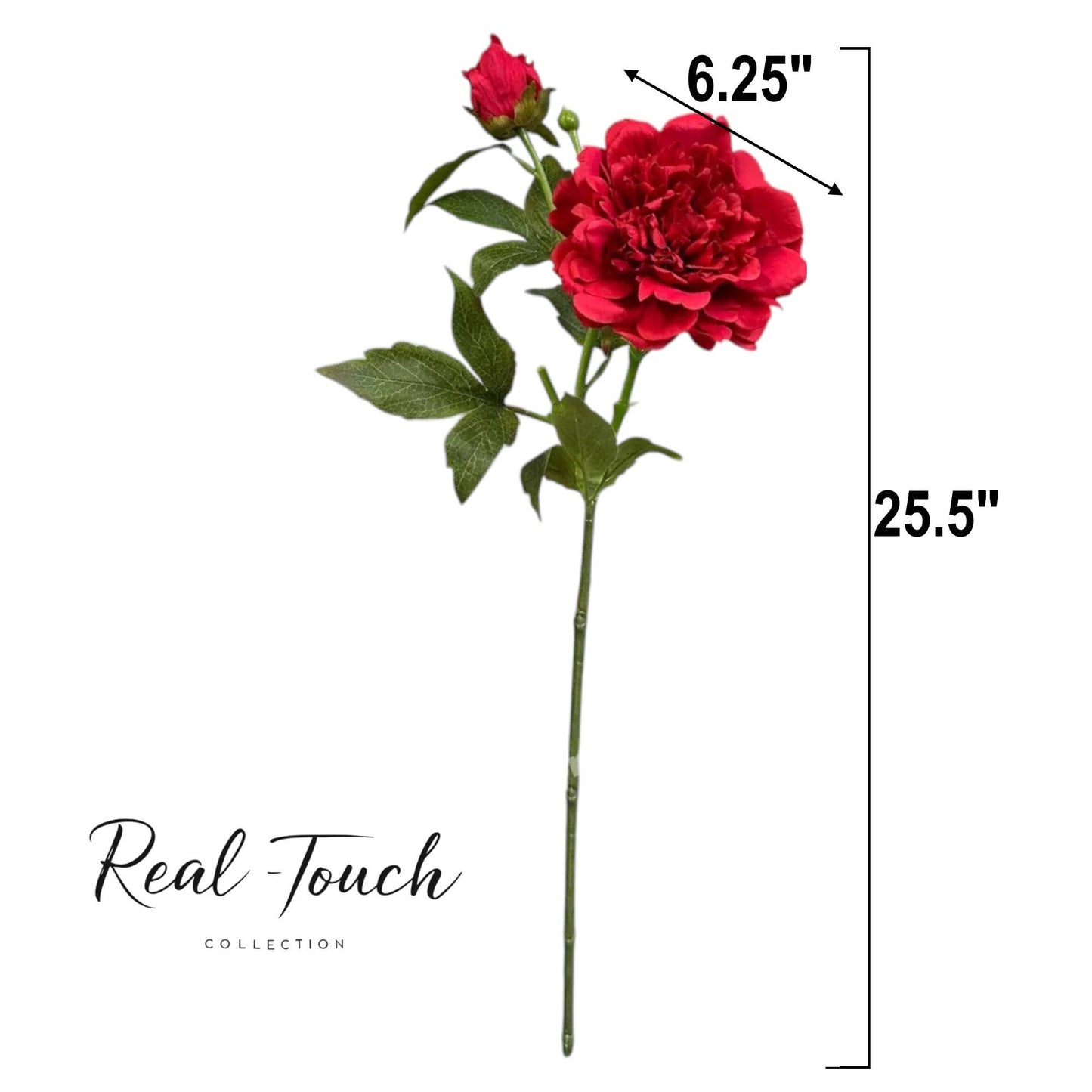 25.5"- Real Touch Peony Stem-2 Blooms