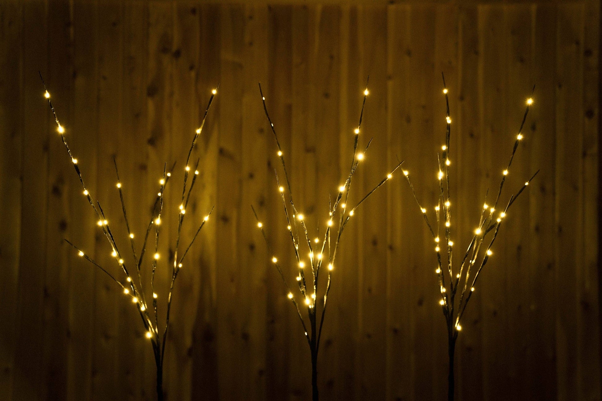 Willow Branch - 49th & Magnolia