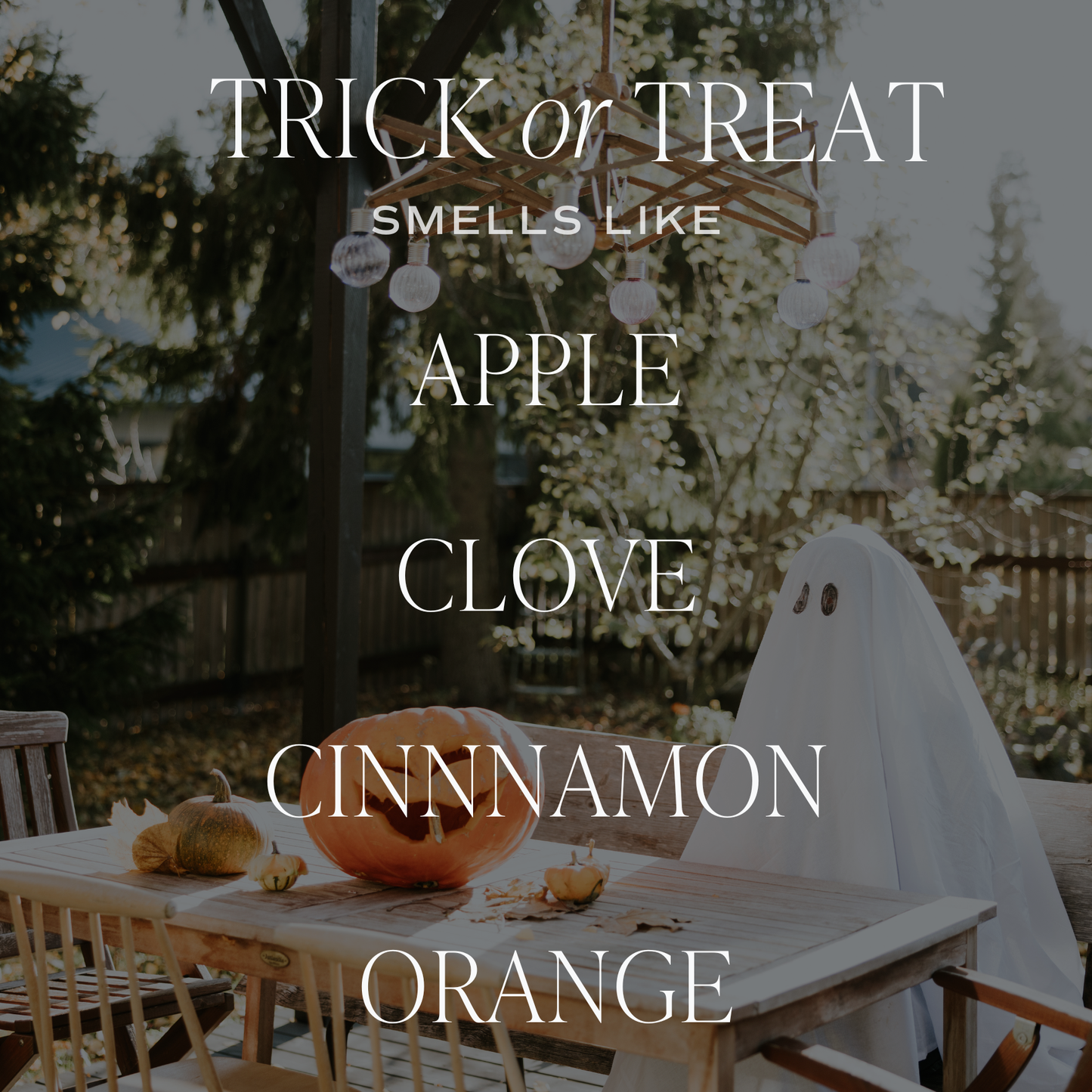 Trick or Treat Soy Candle - 15 oz Matte Jar