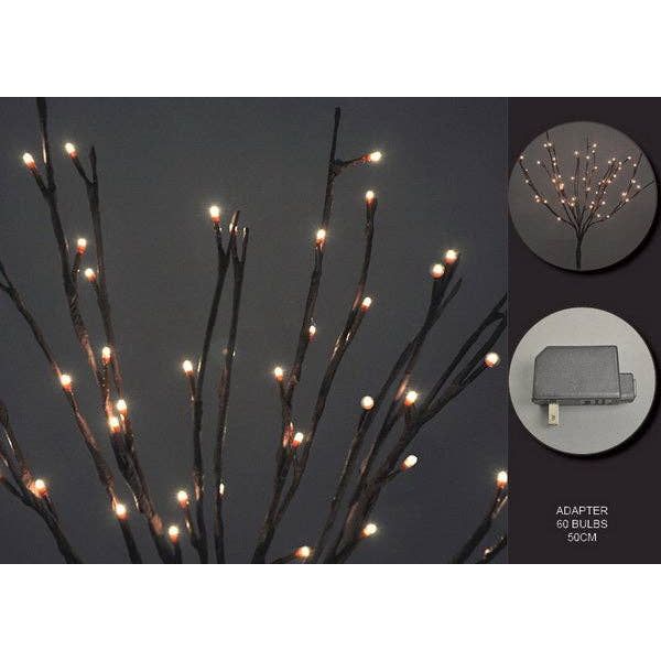 Willow Branch - 49th & Magnolia