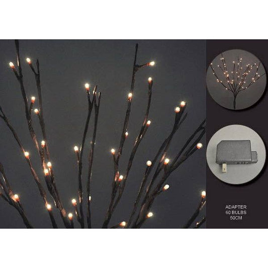 Willow Branch - 49th & Magnolia