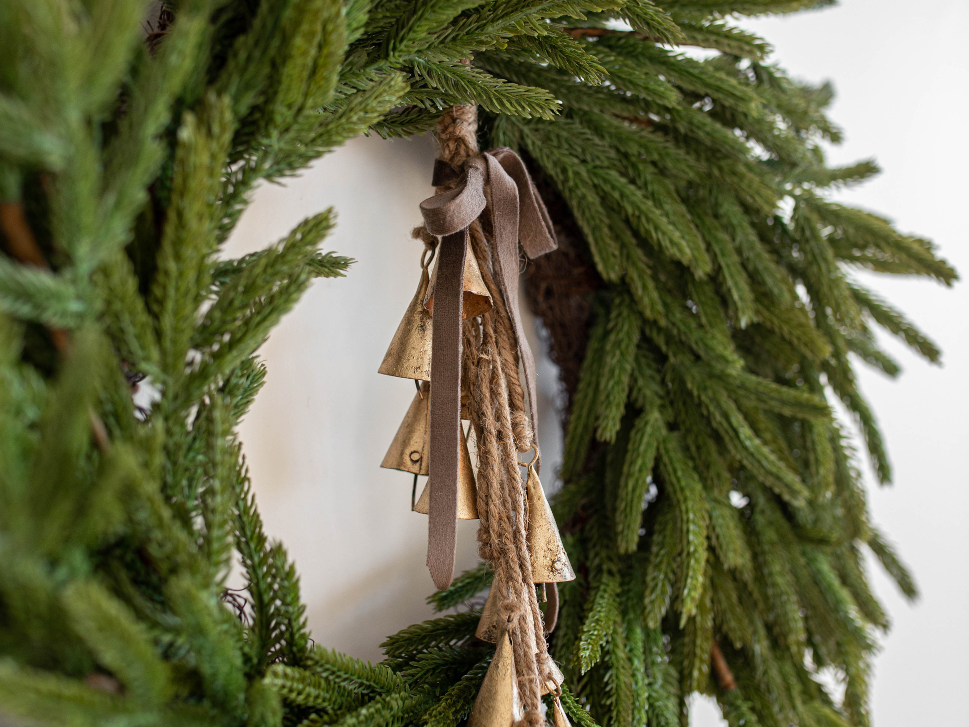 24" Norfolk Pine Real Touch Faux Christmas Wreath - 49th & Magnolia