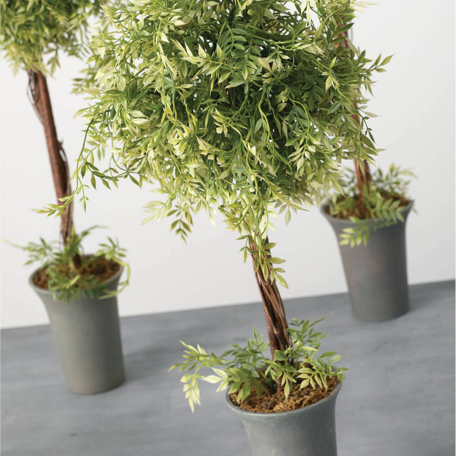 WISTERIA TOPIARY (Set of 3) - 49th & Magnolia