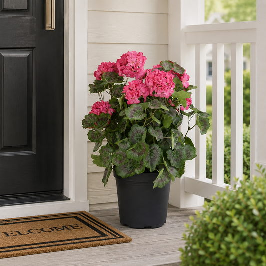24 Inch Pink Potted Geranium w/Faux Dirt by K&K Interiors