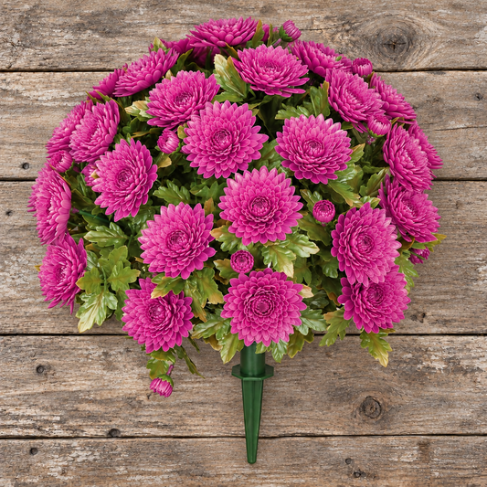 UV Resistant Mum Bush (Assorted Colors)