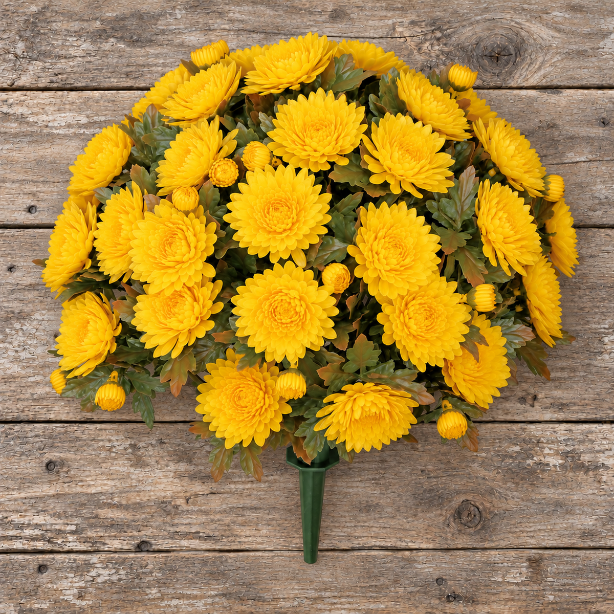 UV Resistant Mum Bush (Assorted Colors)