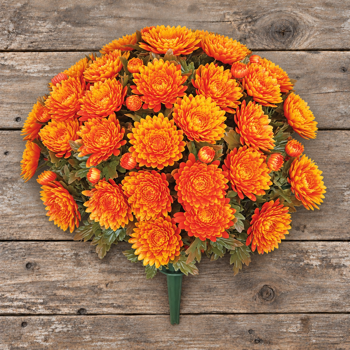 UV Resistant Mum Bush (Assorted Colors)